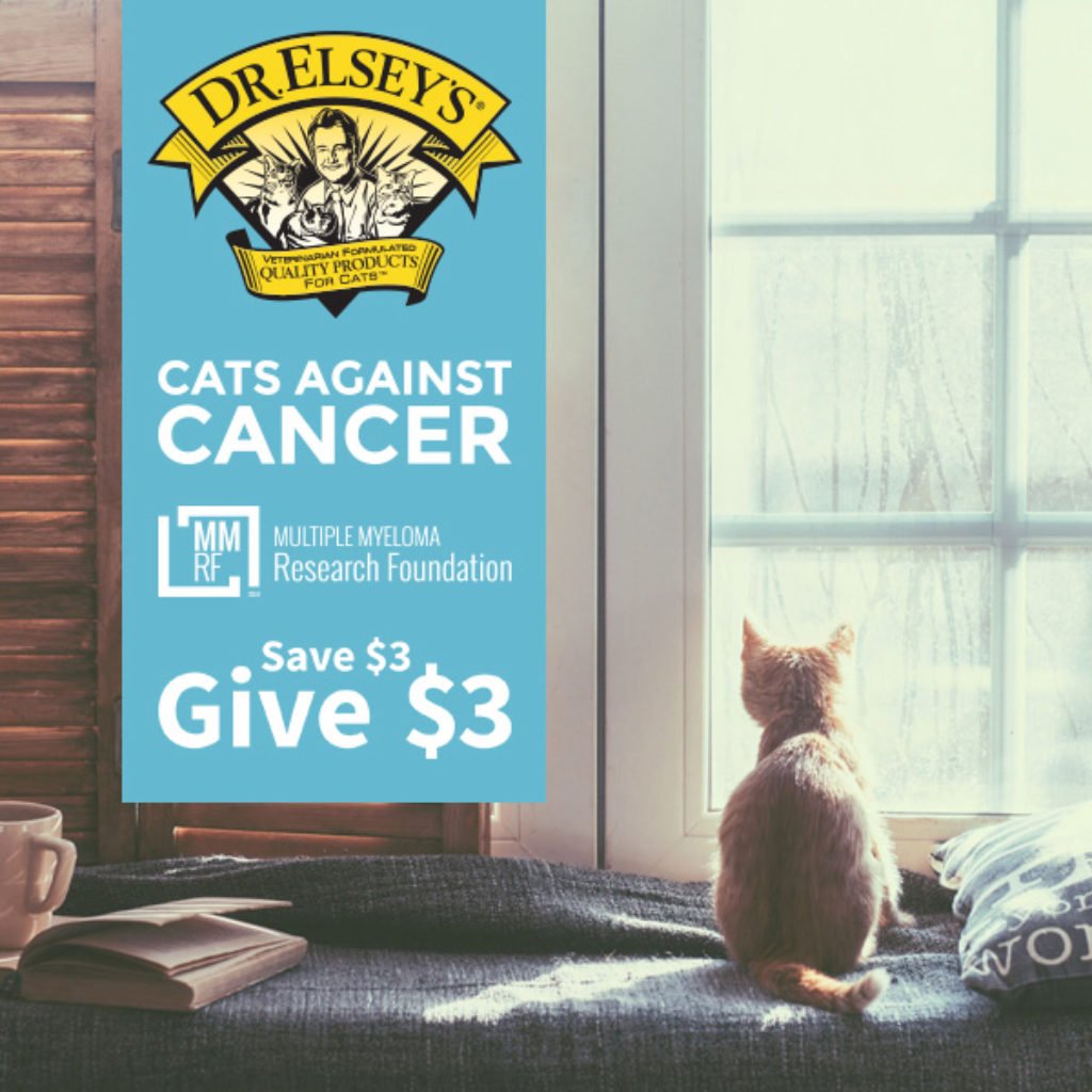 cats against cancer